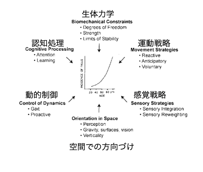 姿勢制御に必要な6つのサブシステム（Horakによるシステムモデル）