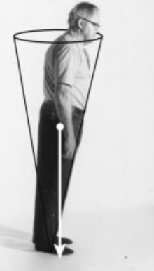 立位における支持基底面と安定性限界（円錐モデル）の模式図