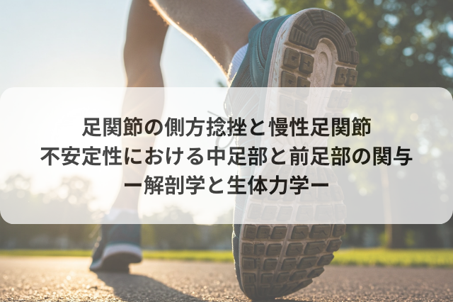 足関節複合体の解剖学とバイオメカニクス