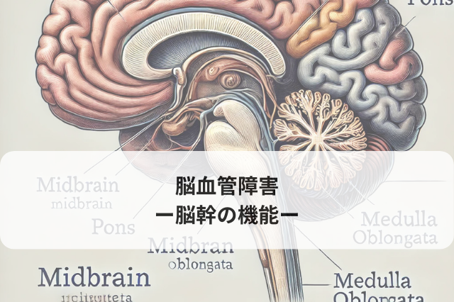 脳血管障害　−脳幹の機能−