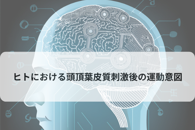 ヒトにおける頭頂葉皮質刺激後の運動意図