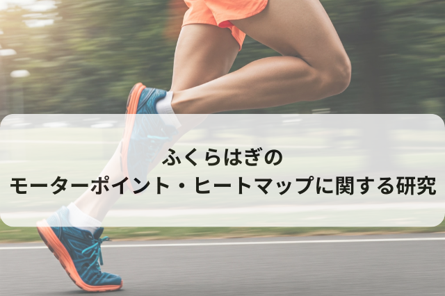 ふくらはぎのモーターポイント・ヒートマップに関する研究