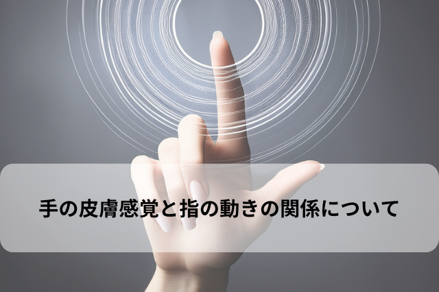 手の皮膚感覚と指の動きの関係について