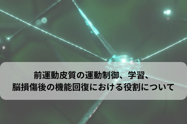 前運動皮質（PMC）の運動制御、学習、脳損傷後の機能回復における役割について