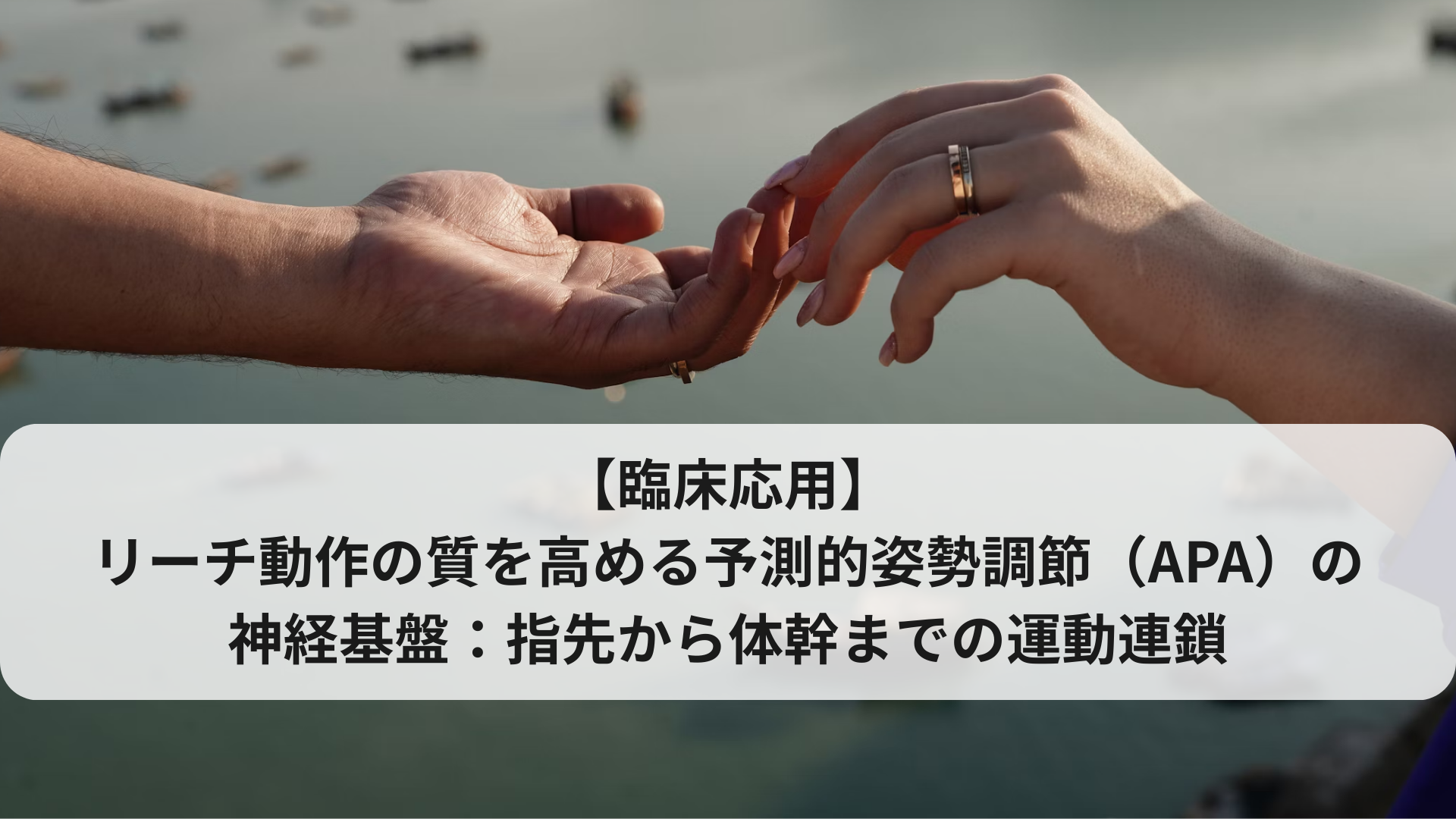 【臨床応用】リーチ動作の質を高める予測的姿勢調節（APA）の神経基盤：指先から体幹までの運動連鎖