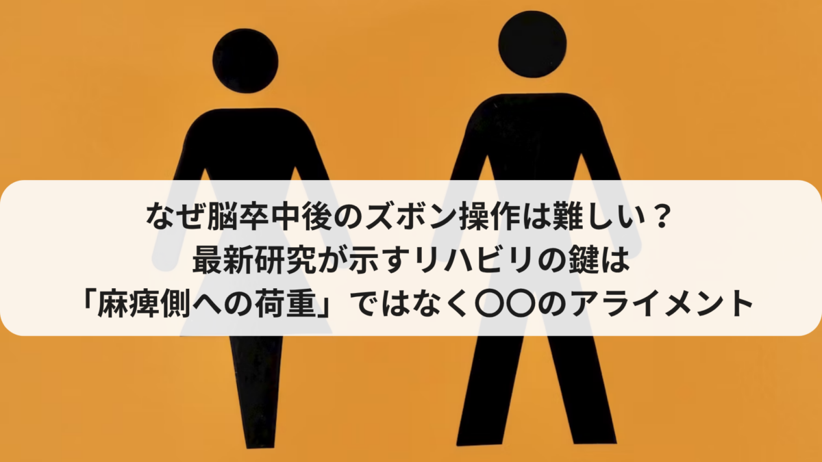 なぜ脳卒中後のズボン操作は難しい？最新研究が示すリハビリの鍵は「麻痺側への荷重量」ではなく〇〇のアライメント