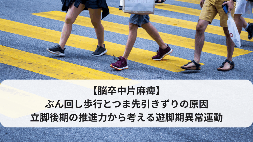 【脳卒中片麻痺】ぶん回し歩行とつま先引きずりの原因——立脚後期推進力から考える遊脚期異常運動